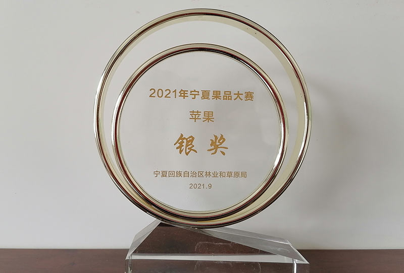 寧夏2021果品大賽蘋果銀獎獎杯